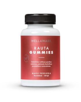 WellAware Rauta Gummies, 60 kpl. (05/23)